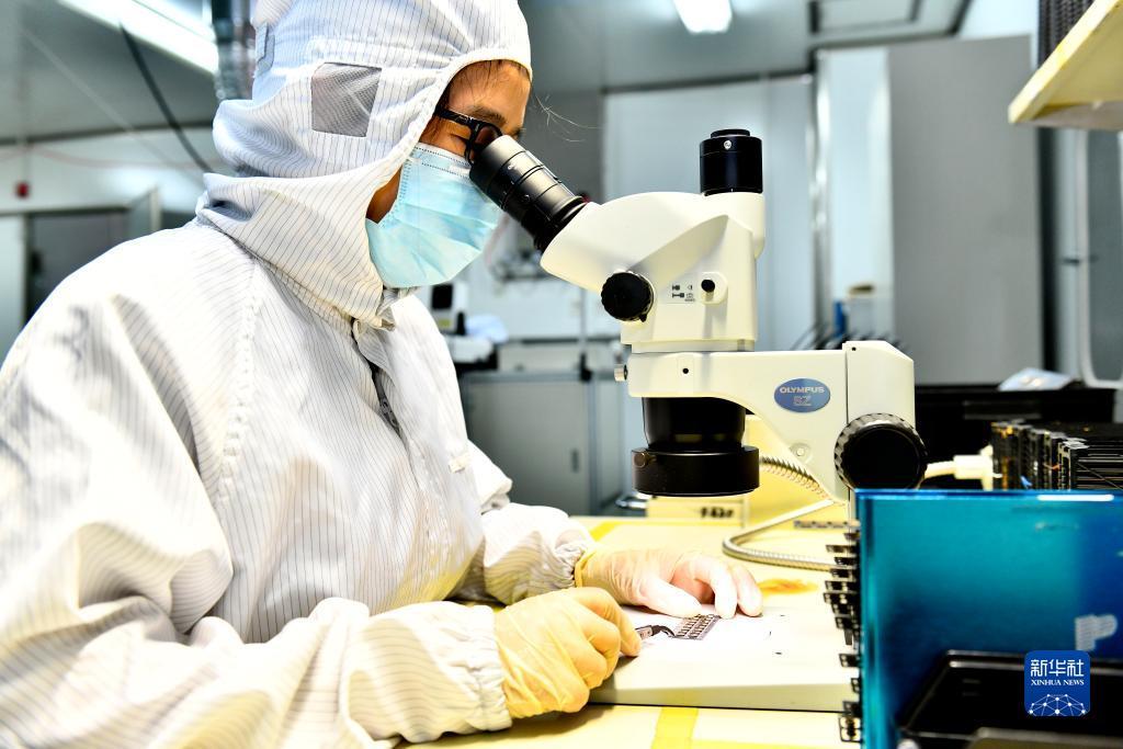 白菜申请可以送38彩金